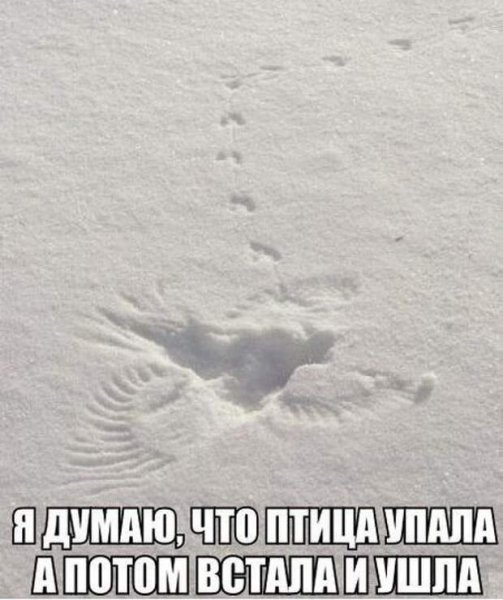 Смешные следы