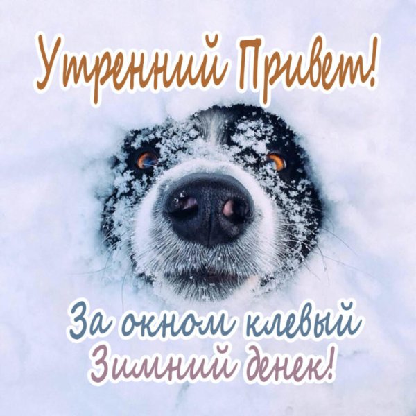 Доброе Снежное утро марта