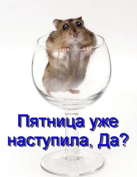 Пятница пришла