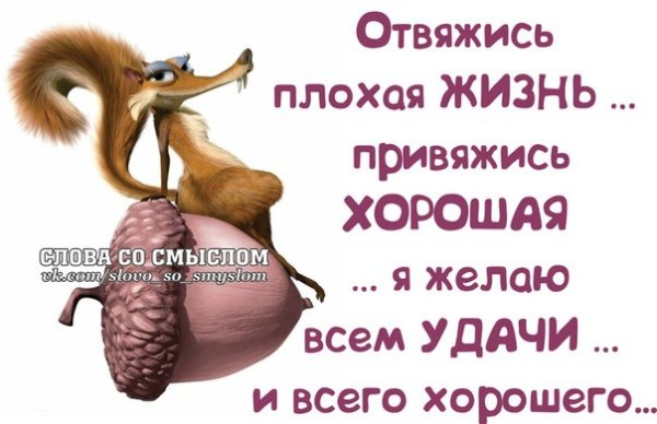Позитивные цитаты для поднятия настроения