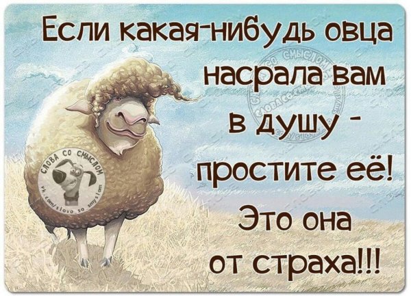 Умные Веселые цитаты