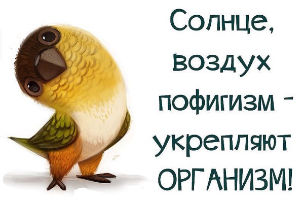 Прикольные статусы в картинках