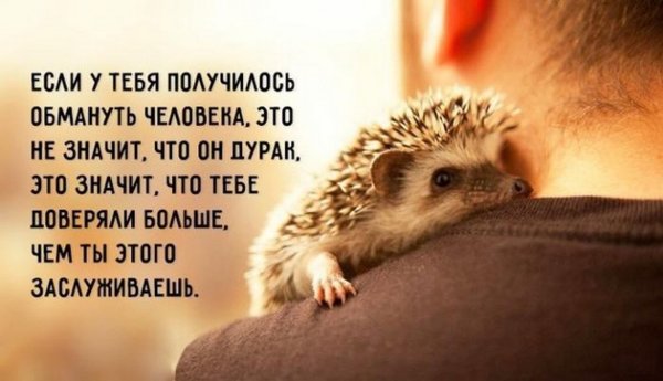 Позитивные афоризмы в картинках