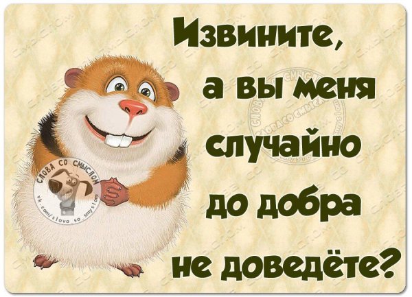 Картинки с позитивными высказываниями