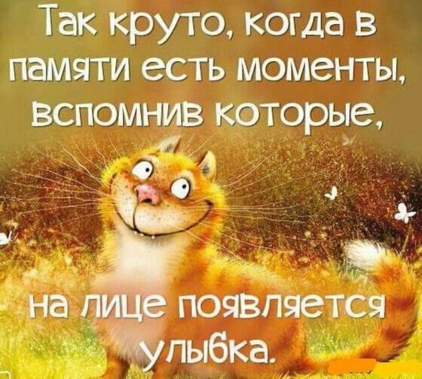 Позитивные фразы для поднятия настроения