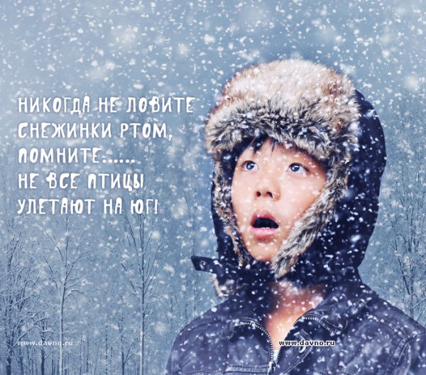 Статусы про зиму