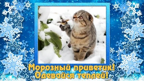 Доброе зимнее утро