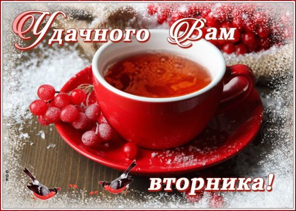 С добрым зимним утром в Орника