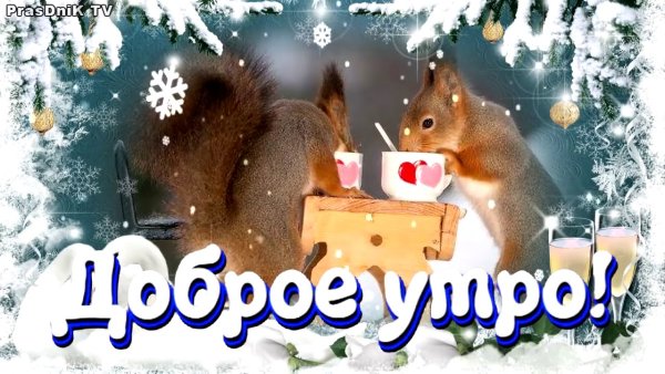 Доброе зимнее утро вторника