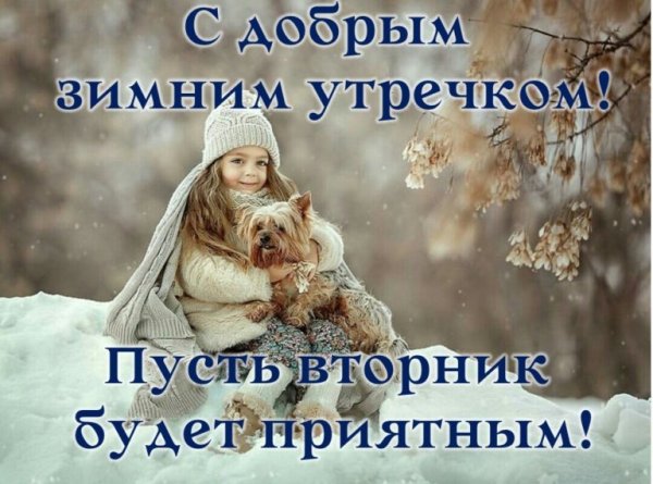 С добрым зимним утром вторника