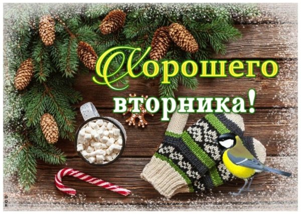 Доброго зимнего дня вторника