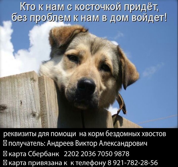 Надпись собака