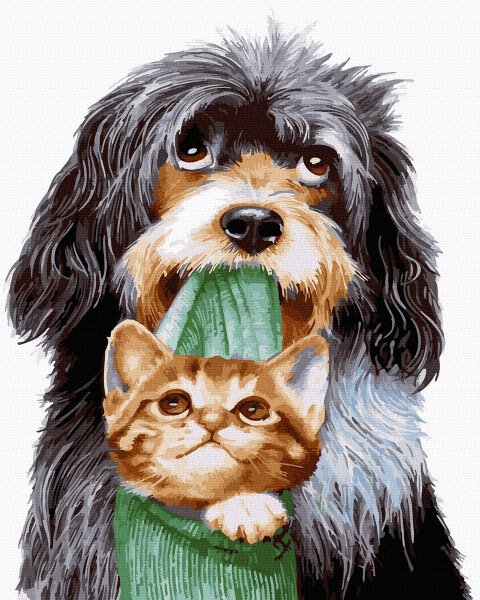 Кошки и собаки