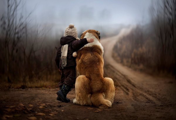 Фотохудожник Елена Шумилова