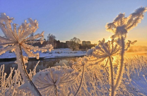 Снежное утро