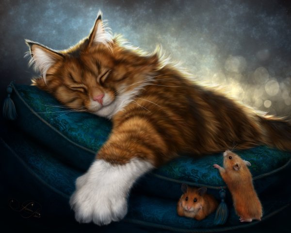 Спящий кот