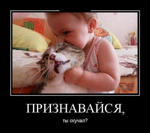 Смешно про скуку