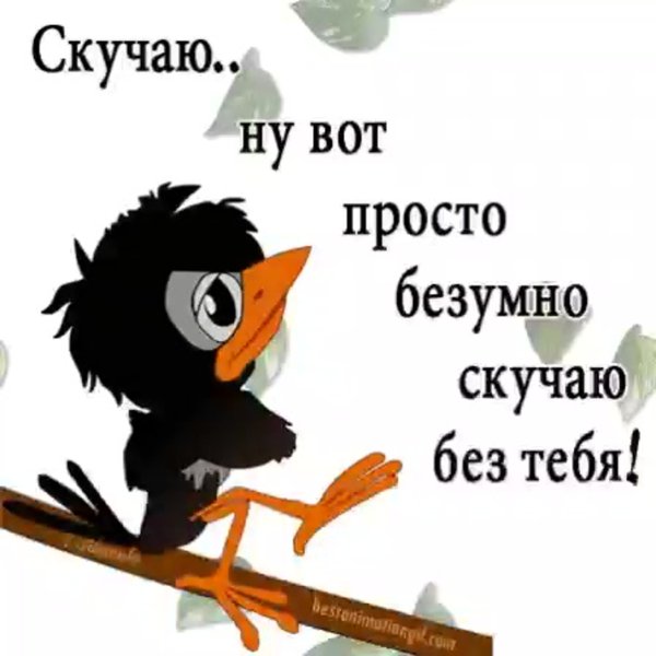 Картинки я скучаю