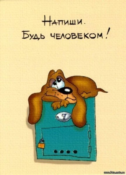 Картинки прикольные смешные