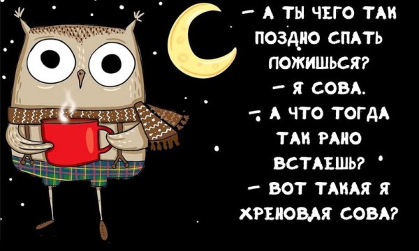 Статус про сову