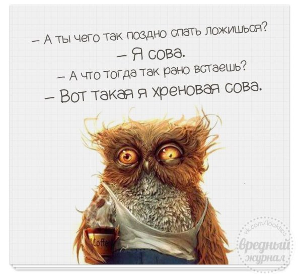 Я Сова
