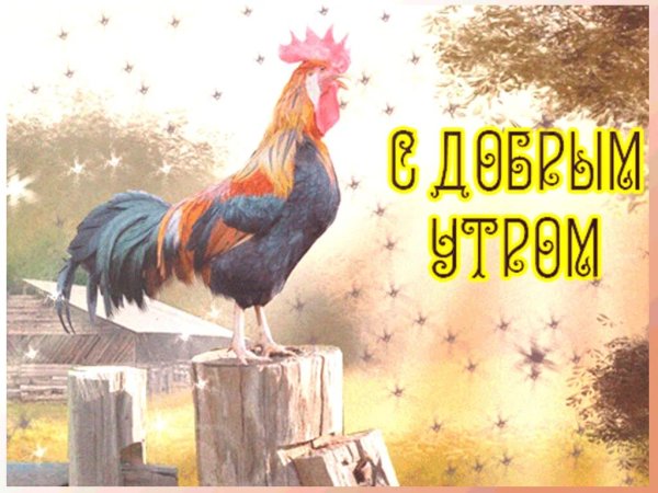 Старинные открытки с добрым утром прикольные