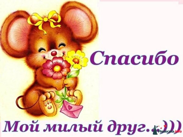 Благодарность картинки