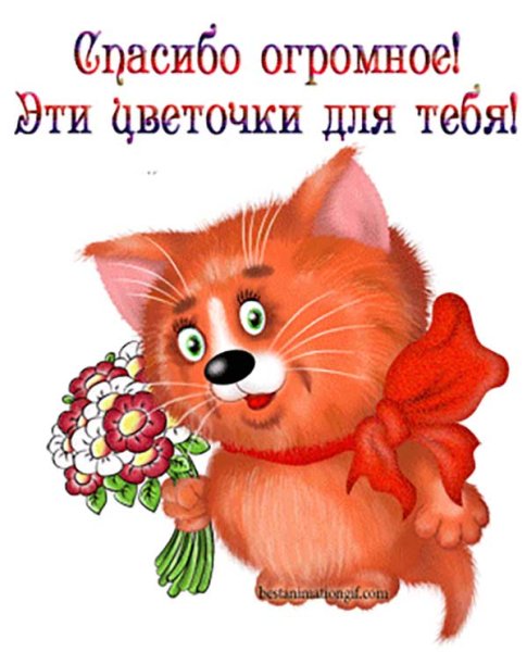 Открытки с благодарностью спасибо