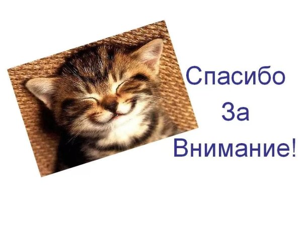Спасибо за внимание котик