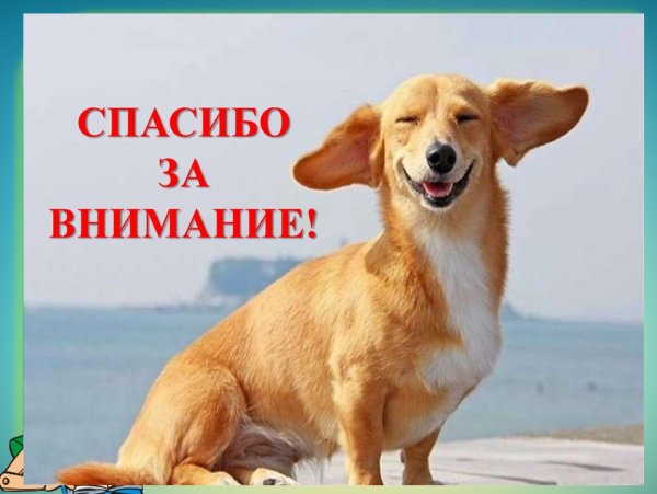 Спасибо за внимание пес