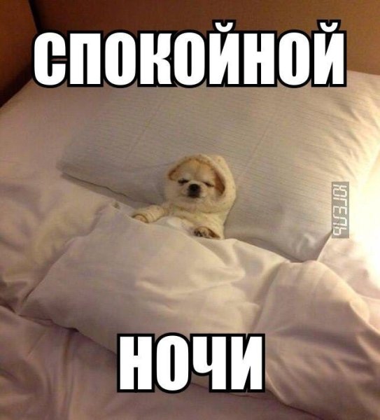 Спокойной ночи прикол
