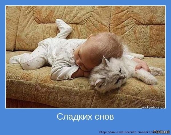 Мотиватор сладких снов