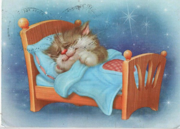 Спящие котята