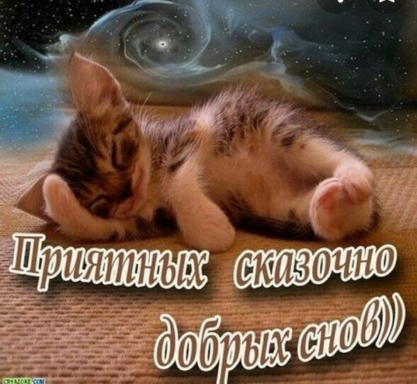 Хороших и приятных снов