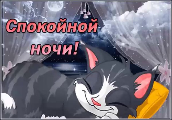 Доброй ночи котик