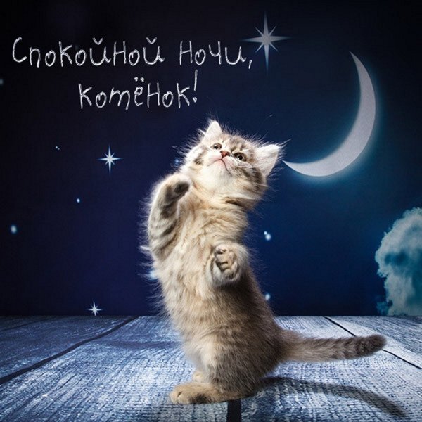 Сладкой ночи