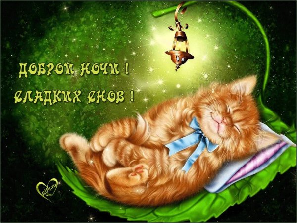 Доброй ночч