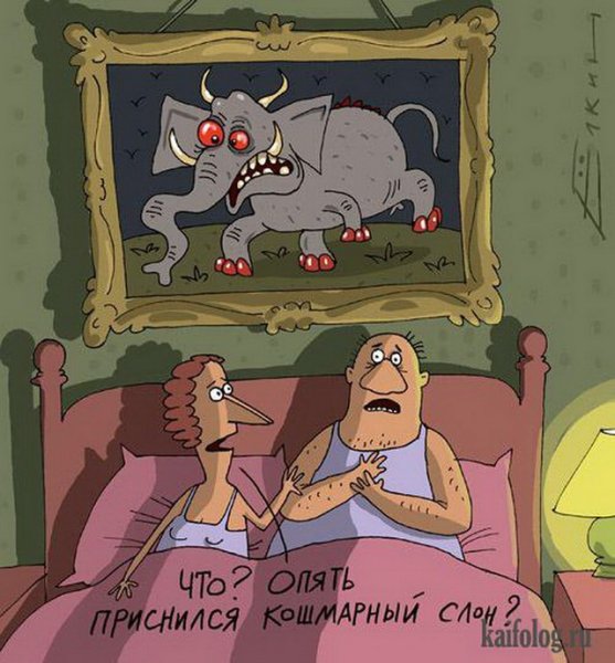 Ночь карикатура