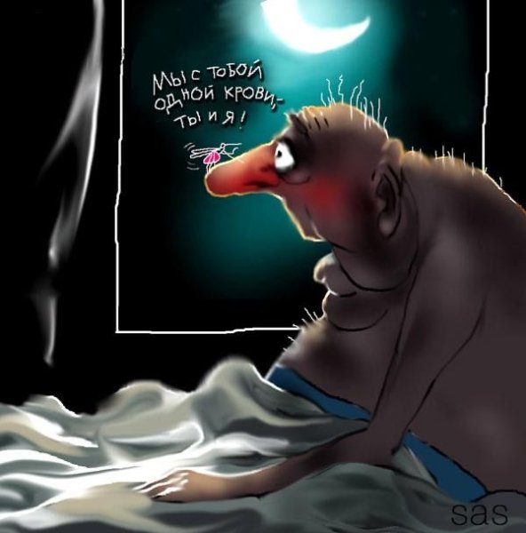Сон карикатура