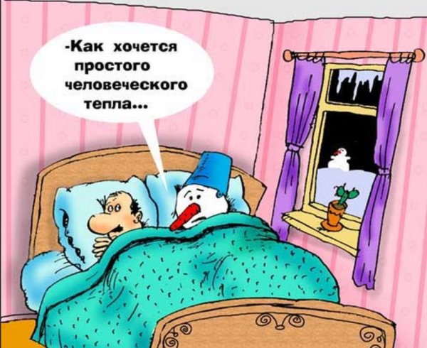 Смешные шутки на ночь