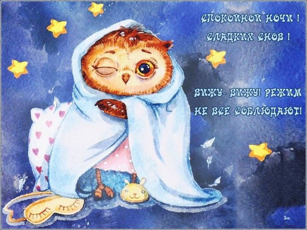 Смешные пожелания доброй ночи