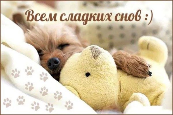 Сладких снов