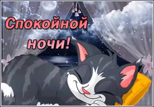 Открытки спокойной ночи прикольные