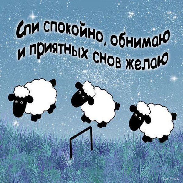Прикольные пожелания спокойной ночи