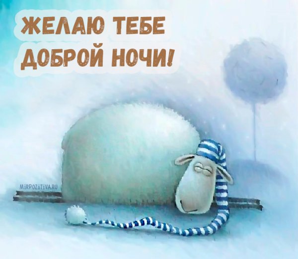Спокойной ночи прикол