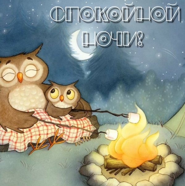 Спокойной ночи птички