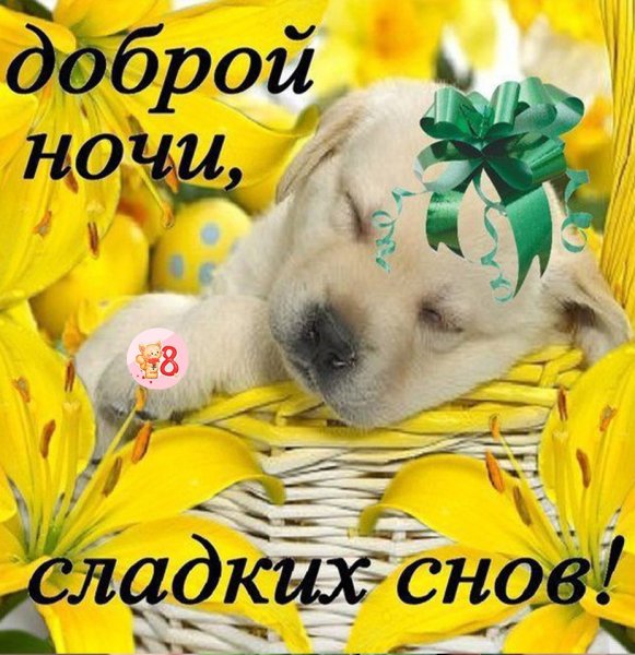 Открытки спокойной ночи весенние