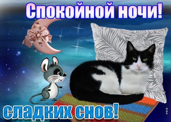Прикольные пожелания спокойной ночи