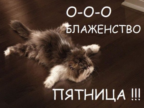 Спокойной ночи завтра пятница