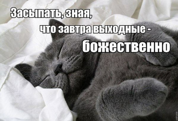 Спокойной ночи пятница